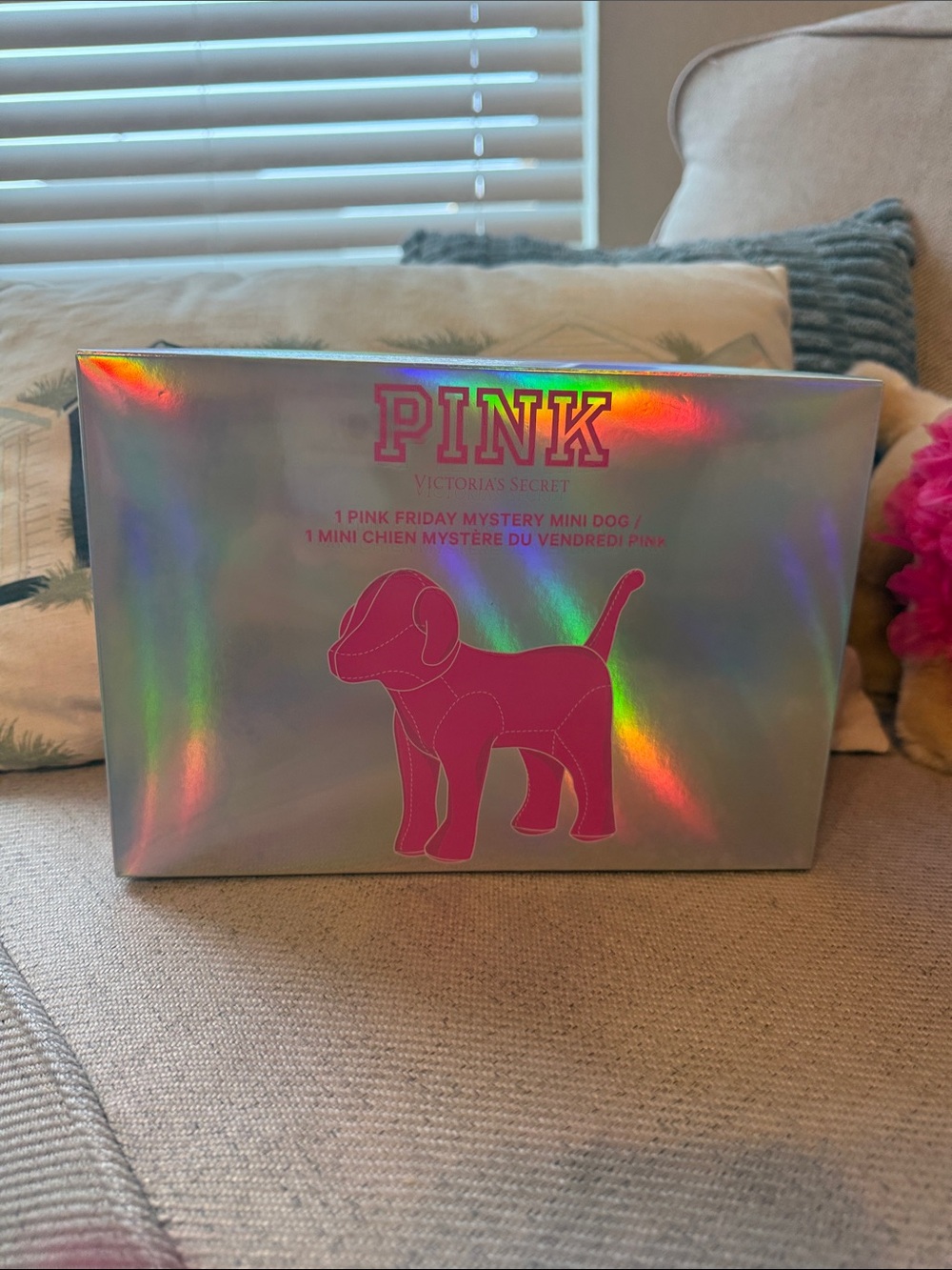 BNWT Victoria's Secret PINK Friday Mystery Mini Dog Box - SEALED / UNOPENED